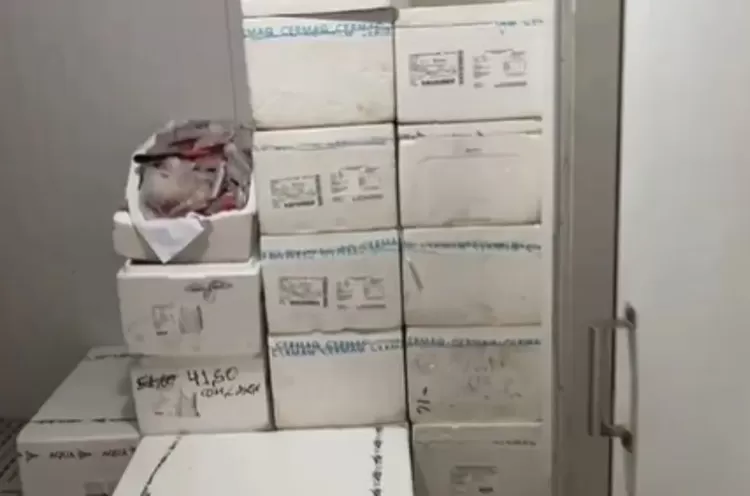 Duas toneladas de salmão e pescados sem nota fiscal são apreendidos em Vitória da Conquista