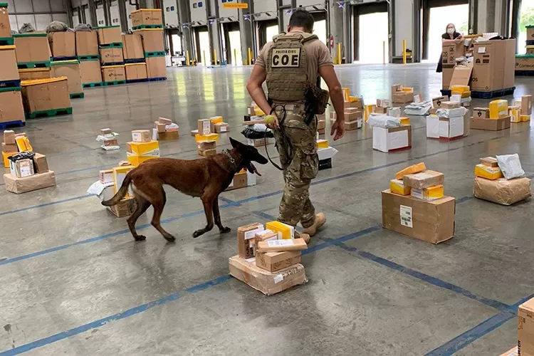 Drogas avaliadas em R$ 1 milhão são apreendidas nos Correios em Simões Filho