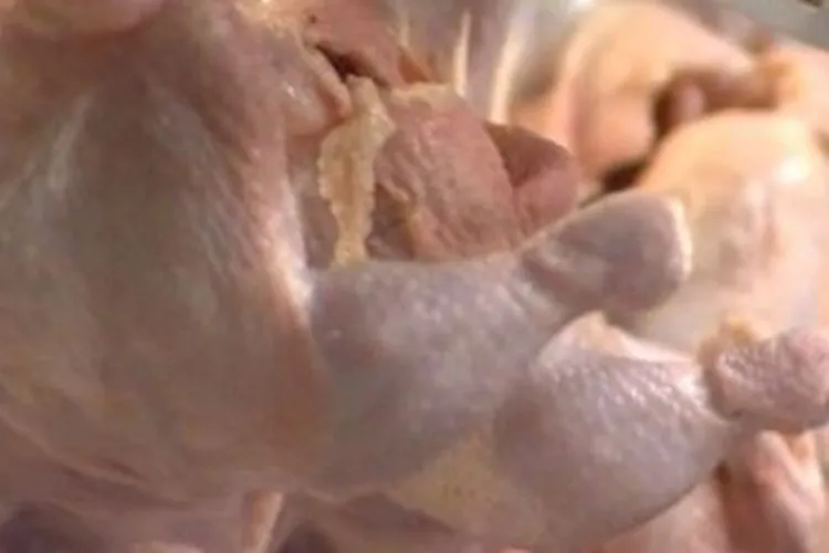 China proíbe importação de carne de frango do Brasil por causa da gripe aviária