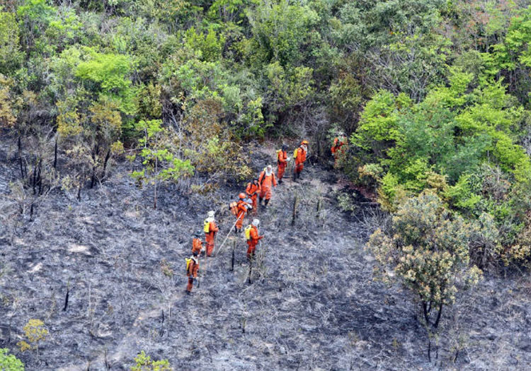 Aeronaves são enviadas para combater incêndio na Chapada Diamantina