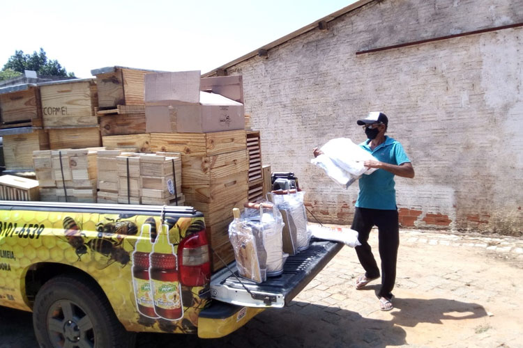 Licínio de Almeida: Apicultores recebem equipamentos para aumentar a produção de mel