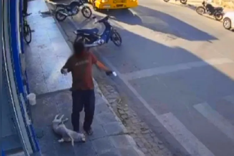 Brumado: Morador de rua é conduzido após chutar cachorro enquanto o animal dormia