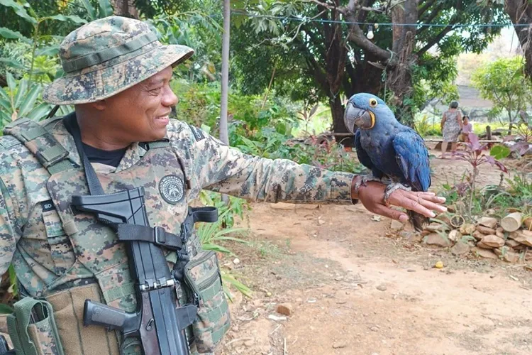 Cippa localiza animais silvestres em cativeiro em Livramento de Nossa Senhora
