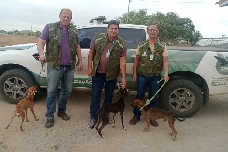 Guanambi: Secretaria de Meio Ambiente resgata animais em situação de maus-tratos