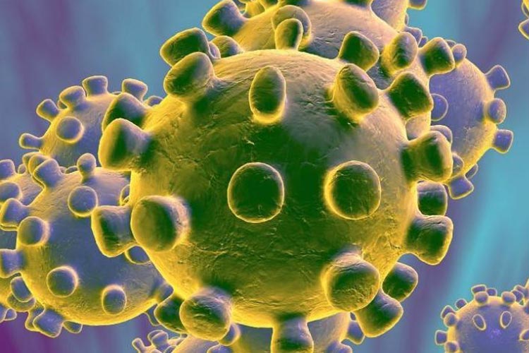 Bahia registra 14ª morte por coronavírus; Sesab confirma 462 casos no estado