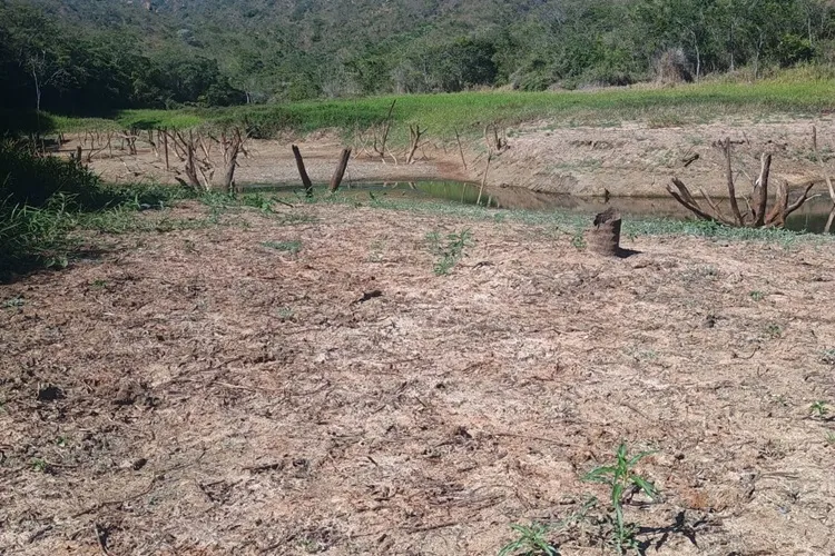 Dom Basílio: Crise hídrica provoca racionamento e produção agrícola começa a ser perdida