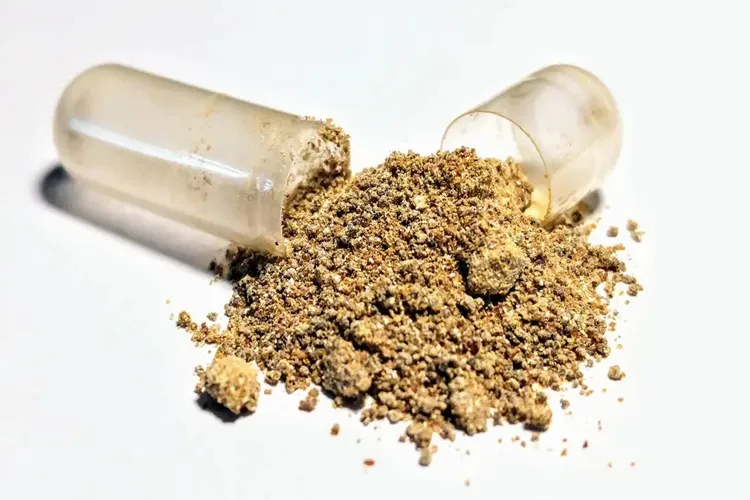 Ashwagandha: Anvisa alerta que suplemento do TikTok não tem registro