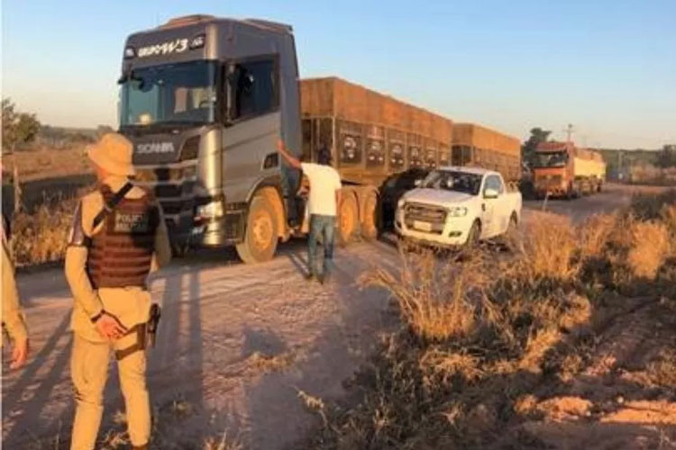 Treze carretas carregadas de soja são apreendidas sem notas fiscais no oeste da Bahia