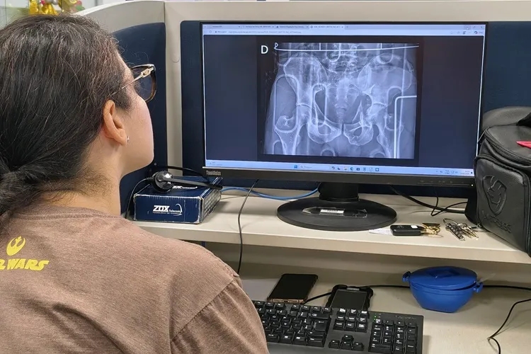 Sesab: Central de Regulação soluciona 1029 casos em 24 horas e apoio de seis UTIs aéreas