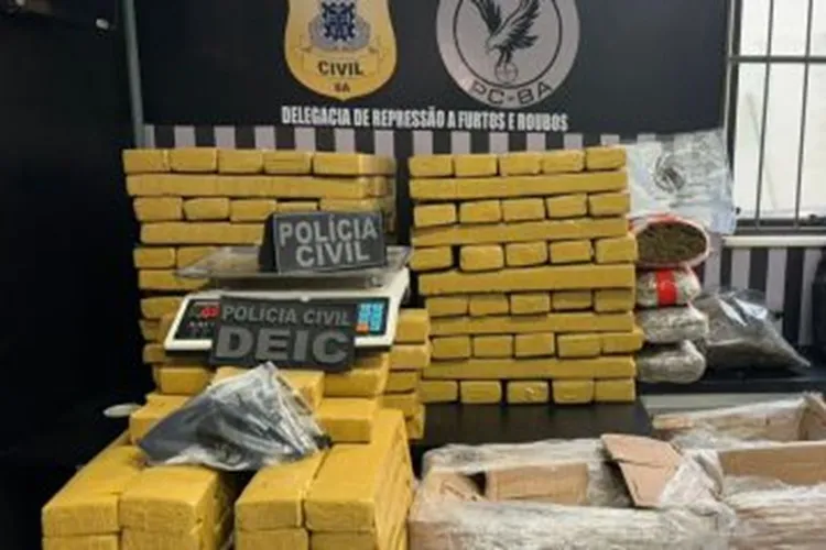 Polícia Civil apreende 212 quilos de maconha em Feira de Santana