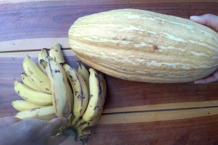 Brumado: Sem conseguir comercializar produção, ruralistas praticam trocas com os vizinhos