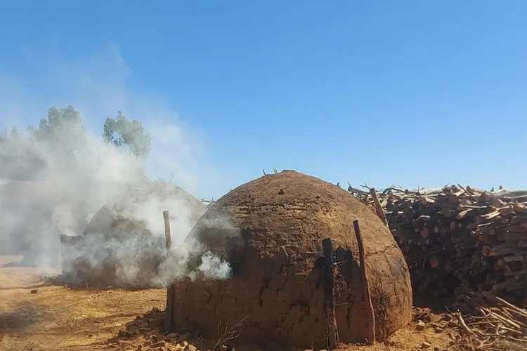 Com apoio de satélite, Inema destrói carvoaria clandestina com 9 fornos em Condeúba