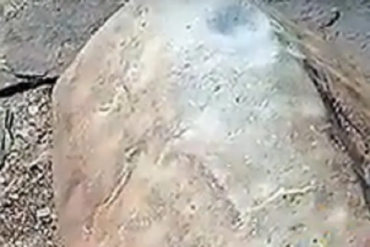 Pedras com sonoridade de sinos intrigam a população em Palmas de Monte Alto