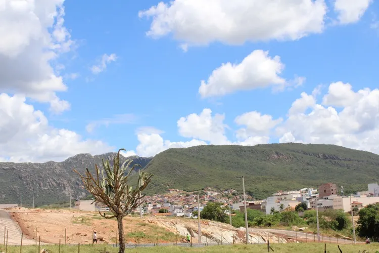 Macaúbas dá início à implantação de centro de apoio à causa animal