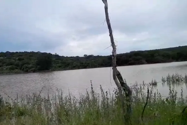 Chuvas reabastecem aguadas e geram expectativa de alta produtividade em Brumado