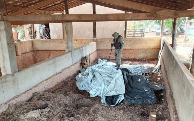Bunker com 8,1 toneladas de maconha são desmontados em Oliveira dos Brejinhos