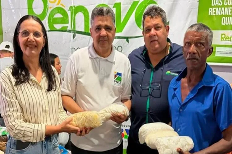 Com financiamento de 25 anos, programa de crédito atrai agricultores em Palmas de Monte Alto
