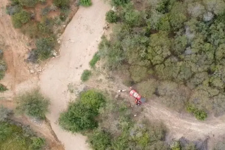 Jequié: Idosa é resgatada em mata fechada após ficar desaparecida 3 dias