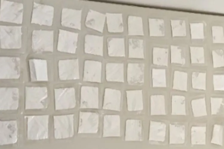 4ª CIPM apreende 52 pepelotes de cocaína e R$ 1672 em Ibipitanga