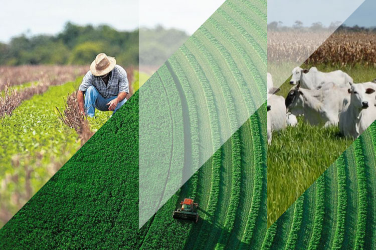 Crédito rural a juros livres ganha cada vez mais competitividade