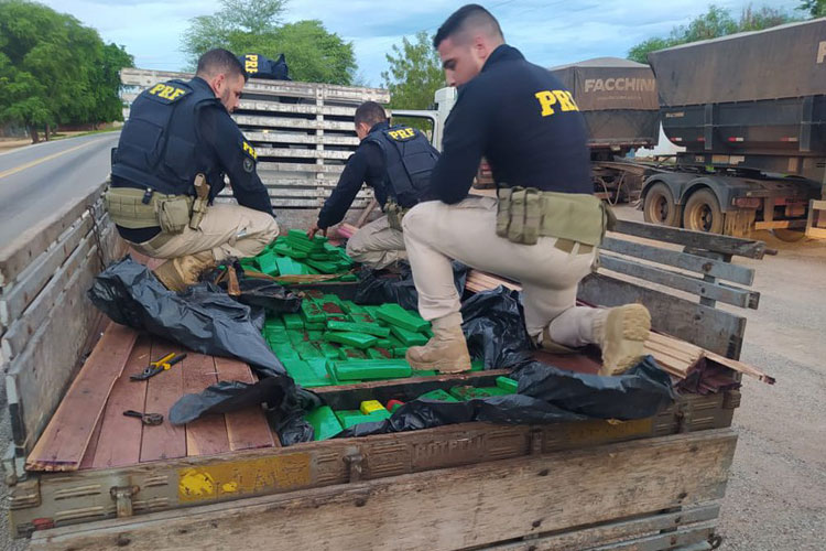 Brumado: PRF apreende 486 kg de maconha e crime organizado tem prejuízo de R$ 1 milhão