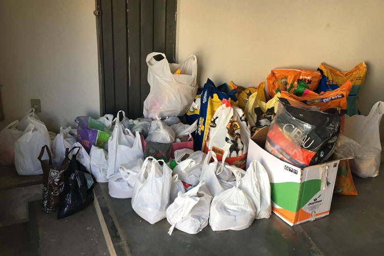 Brumado: Torneio de baleado feminino arrecada rações e insumos para Ong Auau