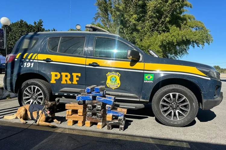 Vitória da Conquista: PRF apreende 67 kg de maconha em ônibus na BR-116