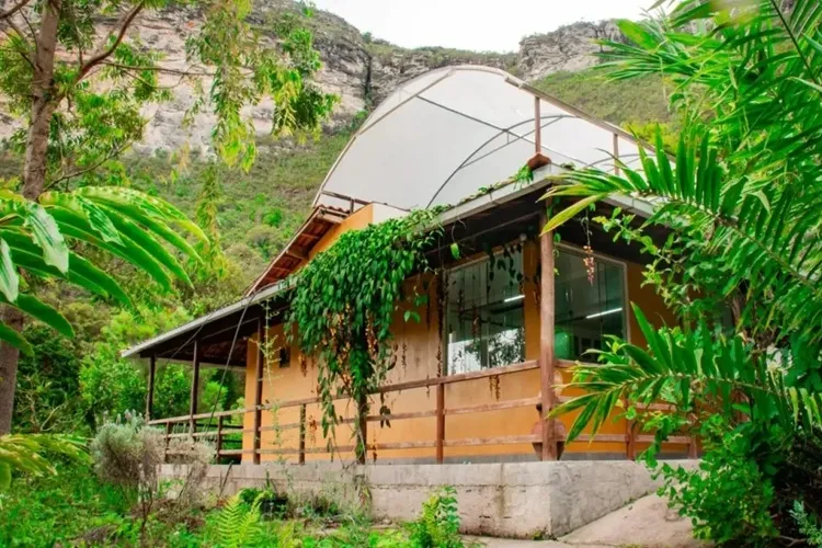 Associação em Ibicoara consegue autorização para cultivar cannabis com fins medicinais