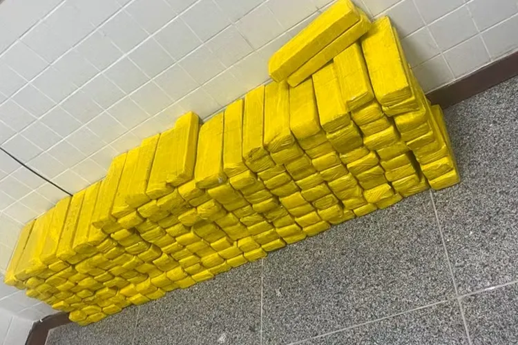Mais de 180 tabletes de maconha são apreendidos dentro de freezer em Feira de Santana