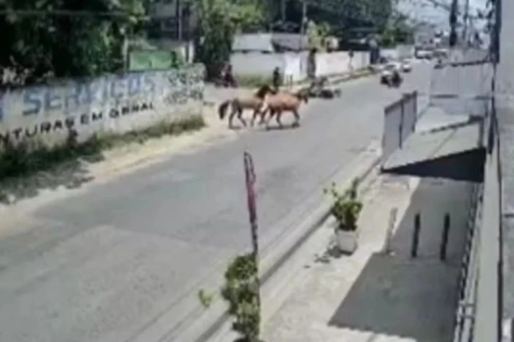 Motociclista é atropelado por cavalos em Feira de Santana