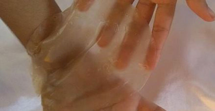 Estudantes de Ilhéus utilizam planta aquática para desenvolver bioplástico