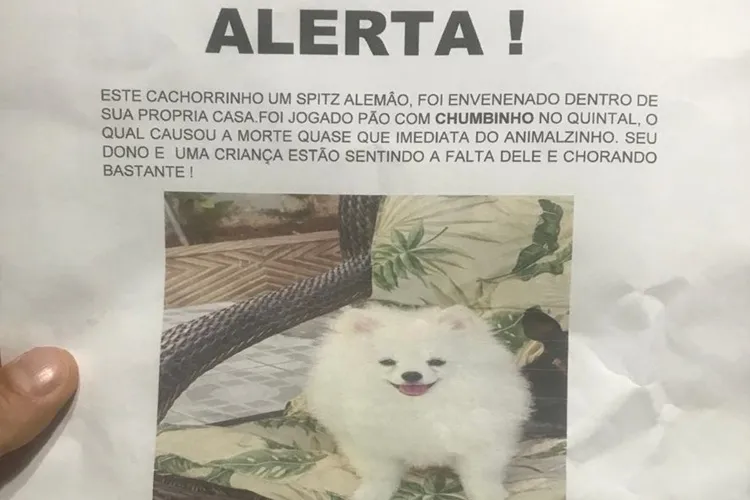 Vários animais estão sendo envenenados e quase uma dezena já morreu em Guanambi