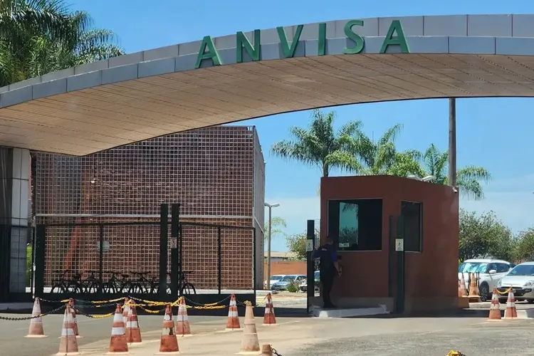 Anvisa aprova vacina contra chikungunya