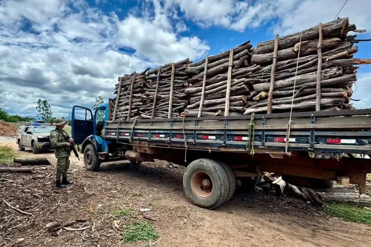 Caminhão com madeira irregular é interceptado na BR-242 em Oliveira dos Brejinhos