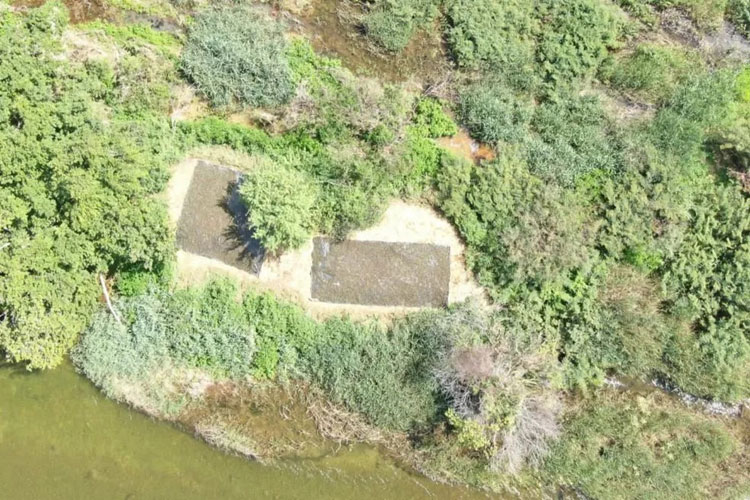 Polícia Militar apreende cerca de 150 quilos de maconha no norte da Bahia