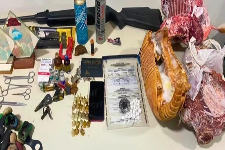 Rondesp apreende 45 galos de rinha, carne silvestre e drogas em Bom Jesus da Lapa