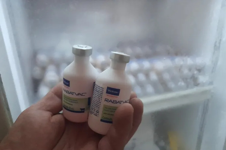 Brumado: Armazém do Criador Centenário mobiliza campanha contra a raiva animal