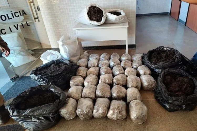 30ª CIPM localiza 200 kg de maconha na zona rural de Santa Maria da Vitória