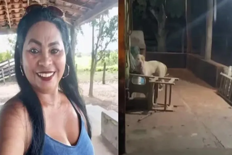 Mulher morre atacada pelo próprio pitbull ao dar banho no animal