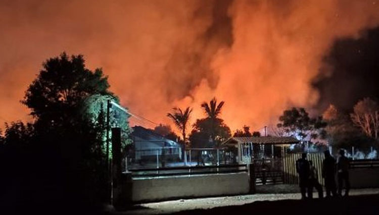 Incêndio de grandes proporções atinge plantação de café na zona rural de Barra do Choça