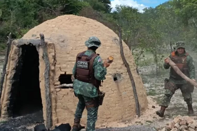 Polícia Ambiental destrói fornos ilegais de produção de carvão em Carinhanha