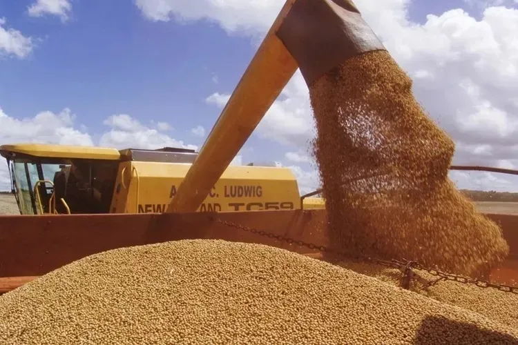 Brasil poderá ter novo recorde na produção de grãos na safra 2024/2025