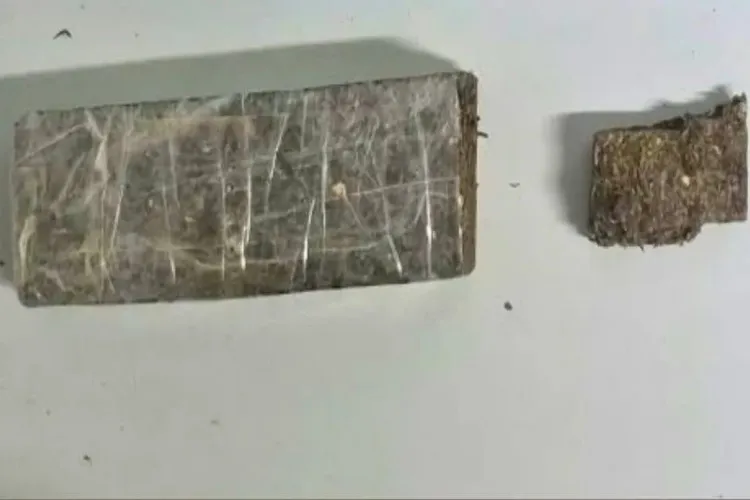 Denúncia anônima leva Rondesp a apreender 1 kg de maconha em Guanambi
