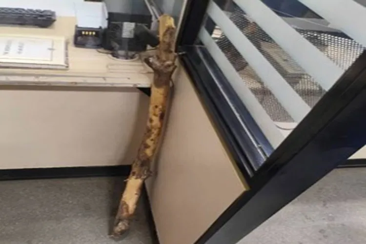 Homem é preso após ameaçar matar ex e filhos com estaca de madeira em Palmas de Monte Alto