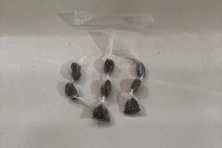 Adolescente tenta fugir da PM, mas acaba apreendido com maconha em Bom Jesus da Lapa