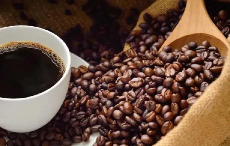 14º Encontro Nacional do Café acontece no sudoeste baiano neste mês