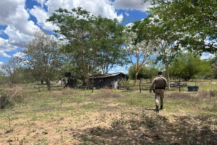 Rondesp apreende arma, munições e desmonta acampamentos em Bom Jesus da Lapa