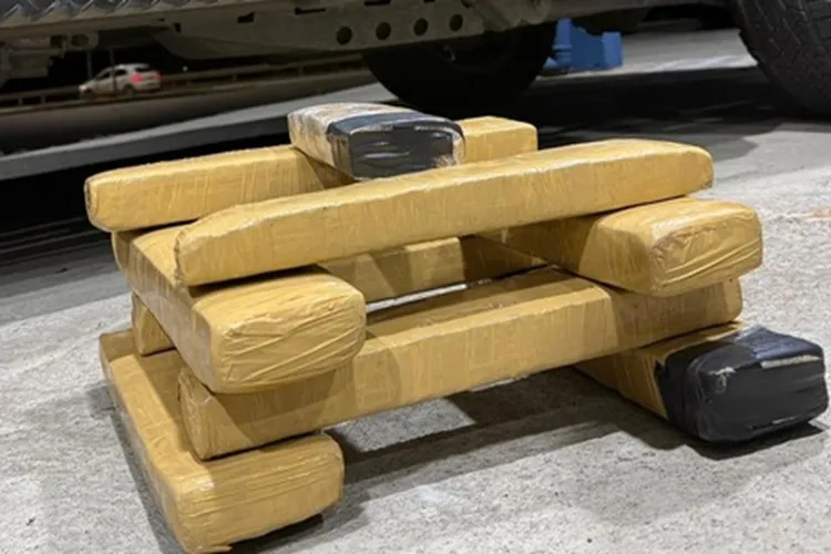 PRF apreende 10 kg de maconha em ônibus que seguia de São Paulo para Carinhanha