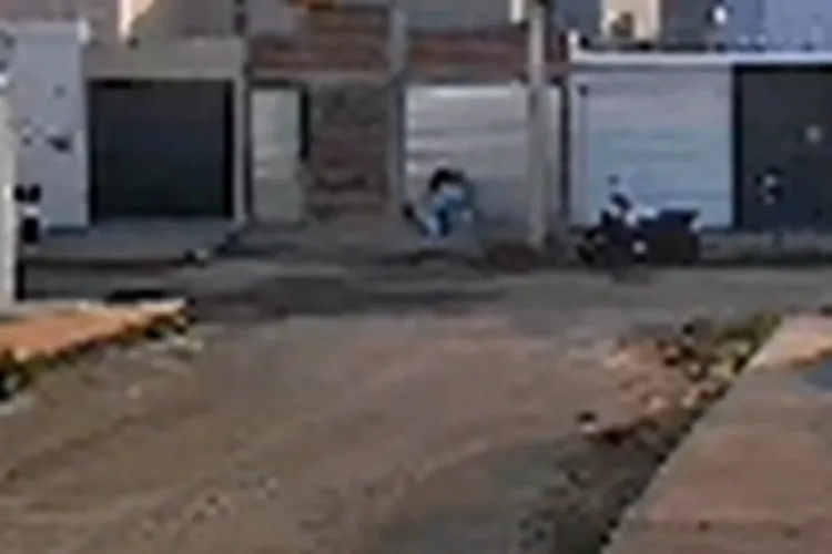 VÍDEO: Dona de shih tzu relata pânico após salvar cão de ataque de pitbull em Brumado