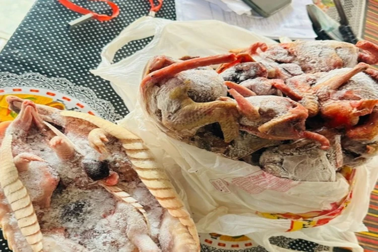 Polícia Ambiental flagra arsenal e animais mortos em casa de criador em Ibicoara